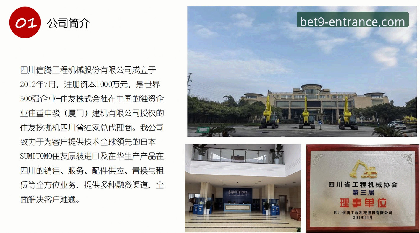 揭秘bet9十年信誉平台背后：一个技术评测员视角下的体育娱乐新选择